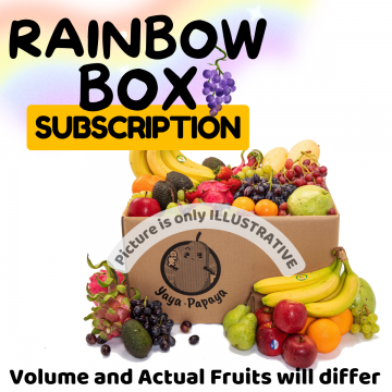 Rainbow Box Subscription