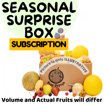 Seasonal Surprise Box Subscription