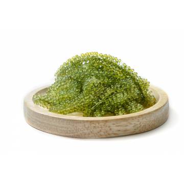 Okinawa Sea Grapes - Vietnam (100 gm)