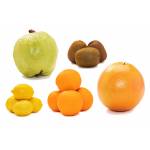 Fresh Fruits