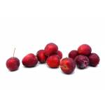 Fresh Fruits
