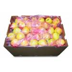 Fresh Fruits