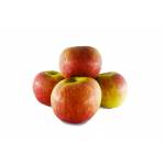 Fresh Fruits