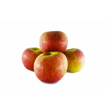 Apple Red Fuji / Joya - South Africa (Pack of 4)