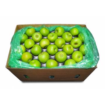 Apple Green Granny Smith Carton - South Africa / Turkey / Italy (110-135 pcs)