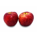 Fresh Fruits