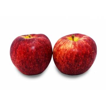 Apple Red Envy Large 70s - USA / Aust (Pack of 2)