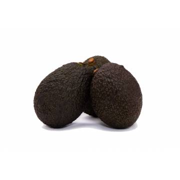 Avocado - Australia (Pack of 3)