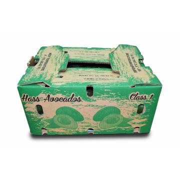 Avocado Carton - Mexico (70 pcs)