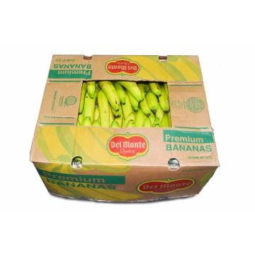 Banana Carton - Philippines (90+ pcs)