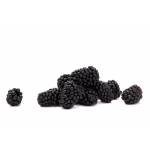 Fresh Fruits