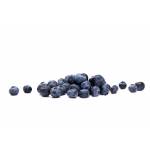 Fresh Fruits