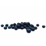 Fresh Fruits