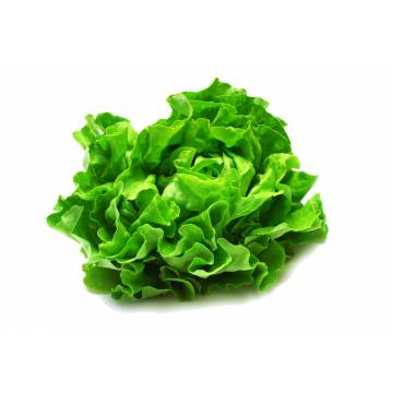 Butterhead Lettuce - Malaysia (300 gm)