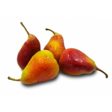 Pear Celina - South Africa (800gm)