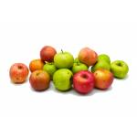 Fresh Fruits