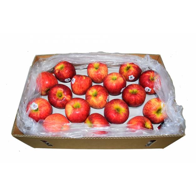 Fresh Fruits