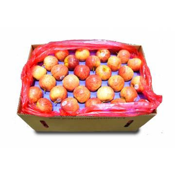 Apple Red Gala Carton - South Africa (120 - 138pcs)