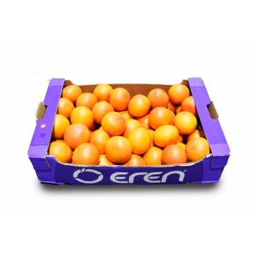 Grapefruit Carton - South Africa / Egypt (45-50 pcs)