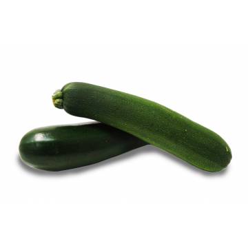 Zucchini Green - Malaysia (2 pcs)