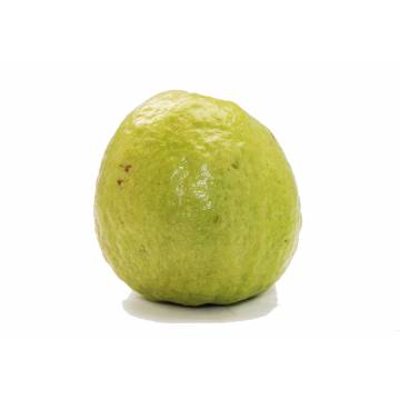 Guava - Malaysia (1 pc)