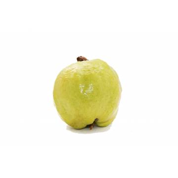 Guava Seedless M Size - Thailand (1 pc)