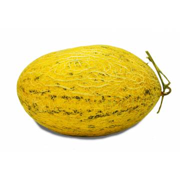 Hami Melon - China (1 pc)