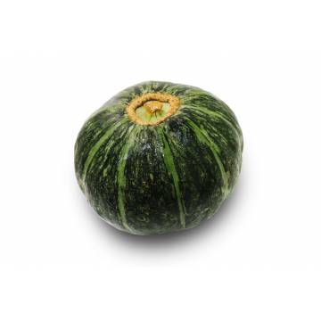Pumpkin Japanese - Thailand (1 pc)