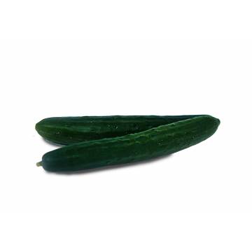 Cucumber Japanese AA - Malaysia (300 gm)