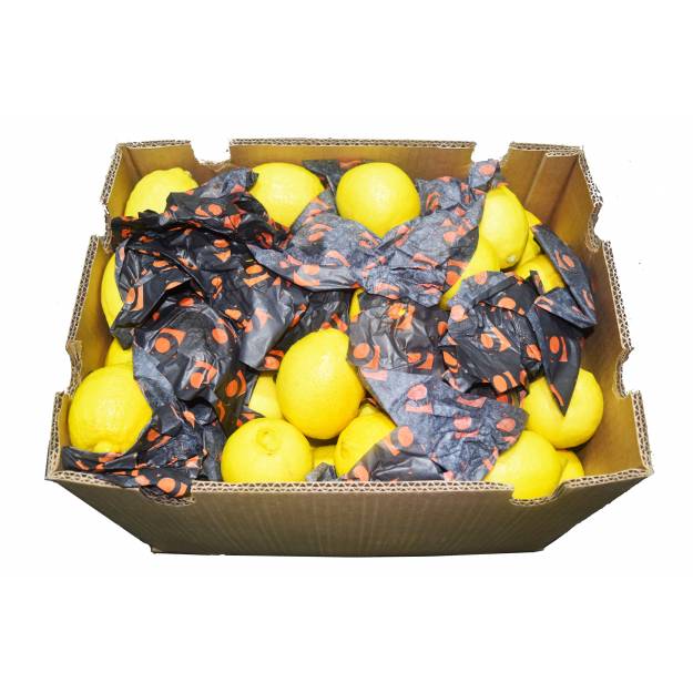 Fresh Fruits
