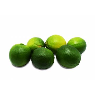 Lime Seedless Large - Vietnam (Pack of 6)