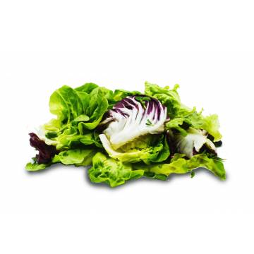 Mesclun Salad DIY Pack - Malaysia (150 gm)