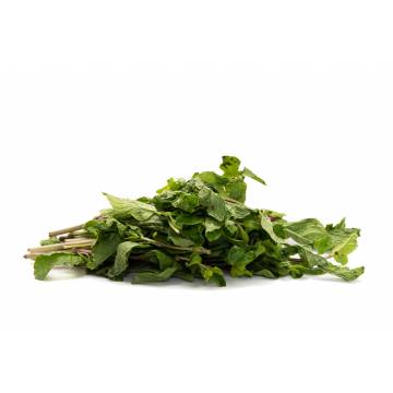 Mint Leaf - Malaysia (50 gm)