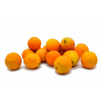 Oranges on Clearance - 3 kg