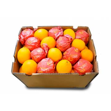 Orange Carton - Egypt / SA (72 - 88 pcs)