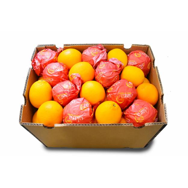 Fresh Fruits