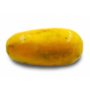 Papaya HK - Malaysia (1 pc)