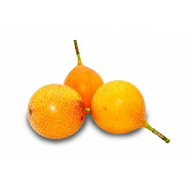 Passionfruit Yellow Granadilla - Ecuador (3pcs)