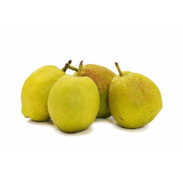 Fresh Fruits