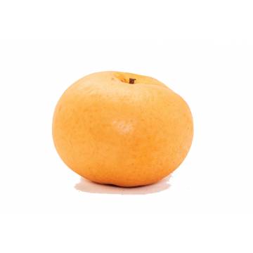 Pear Korean Xin Gao - China (1 pc)