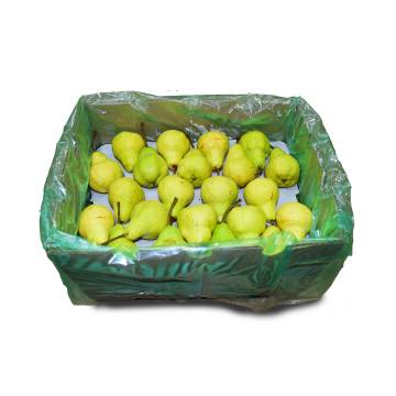 Pear Packham Carton - South Africa (70 - 90 pcs)