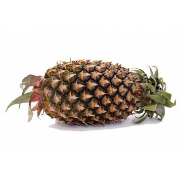 Pineapple Honey - Malaysia (1 pc)