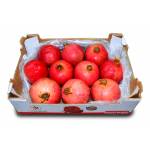 Fresh Fruits