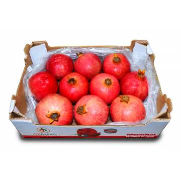 Pomegranate Carton - Egypt / India / South Africa (10-12pcs)