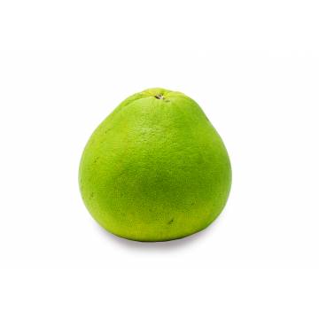 Pomelo Ipoh - Malaysia (1 pc)