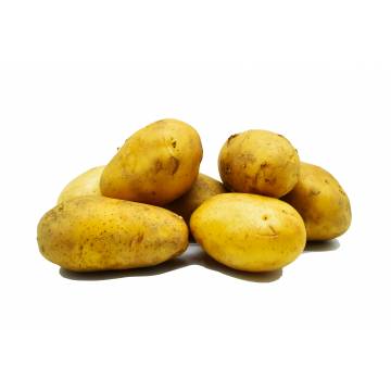 Potato Holland - China (per kg)
