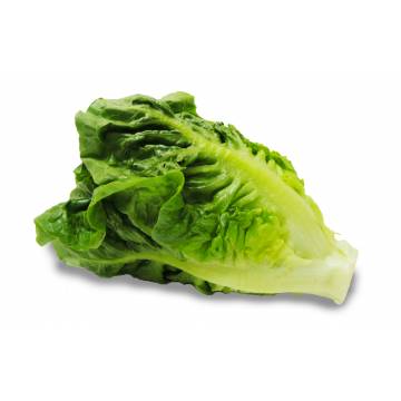 Romaine Lettuce - Malaysia (330 gm)