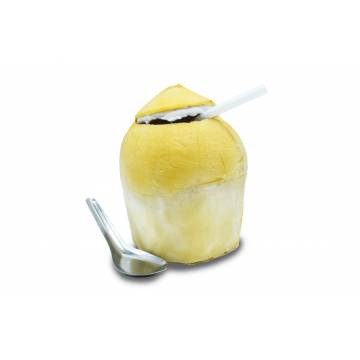 Coconut Botak Precut with Spoon & Straw - Thailand (1 pc)