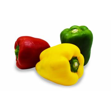 Fresh Tri Capsicum (R, G, Y) - Vietnam (Pack of 3)