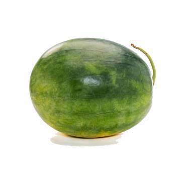 Watermelon Red - Malaysia (1 pc)